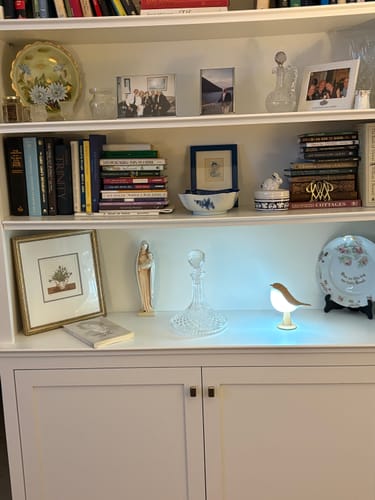 Customer's Glow Bird glowing with a warm light, displayed on a bookshelf alongside home decor items.