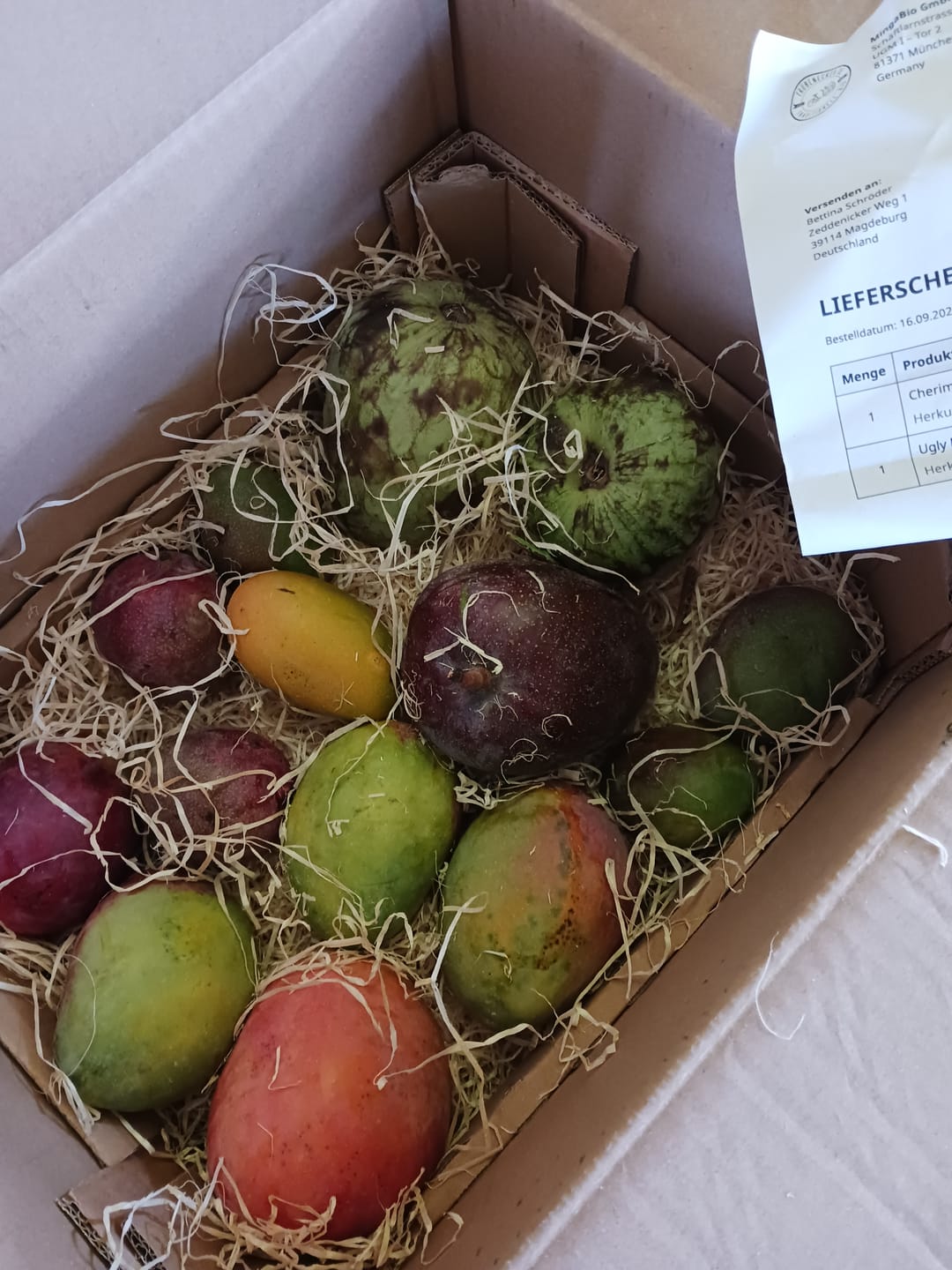 Customer photo review of Ugly Mangobox
