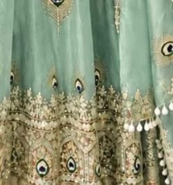 Customer photo review of Mint Green Embroidered Anarkali Gown