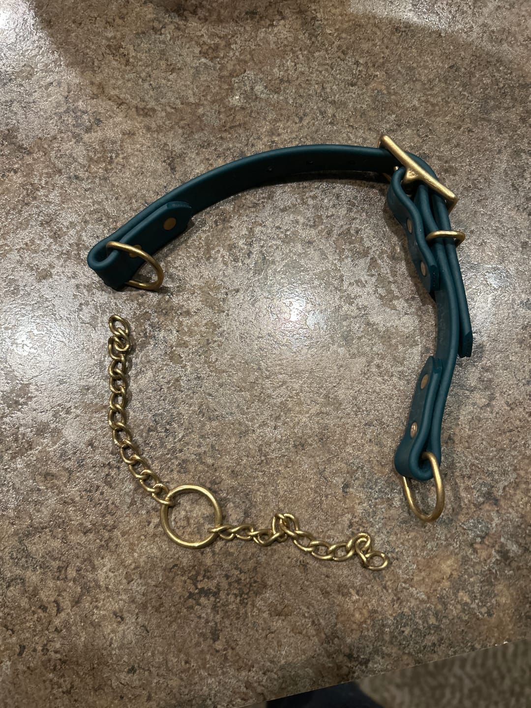 Customer photo review of Biothane Martingale Dog Collar