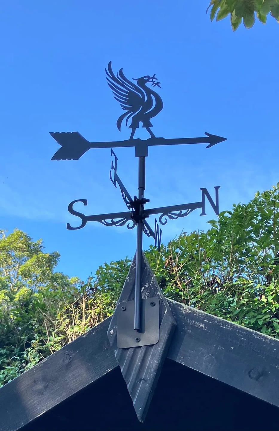 Customer photo review of Weather Vane - Liver Bird