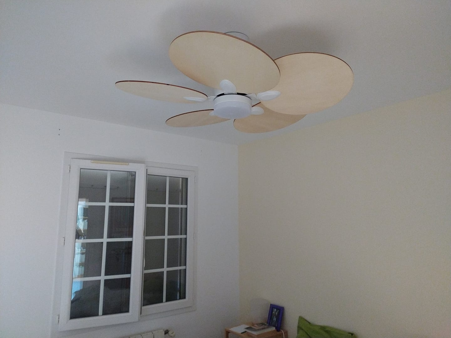 Customer photo review of Lotus | Ventilateur de plafond