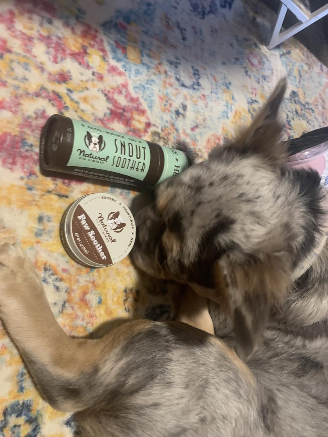 Customer photo review of Natural Paw Balm for Dogs & Cats