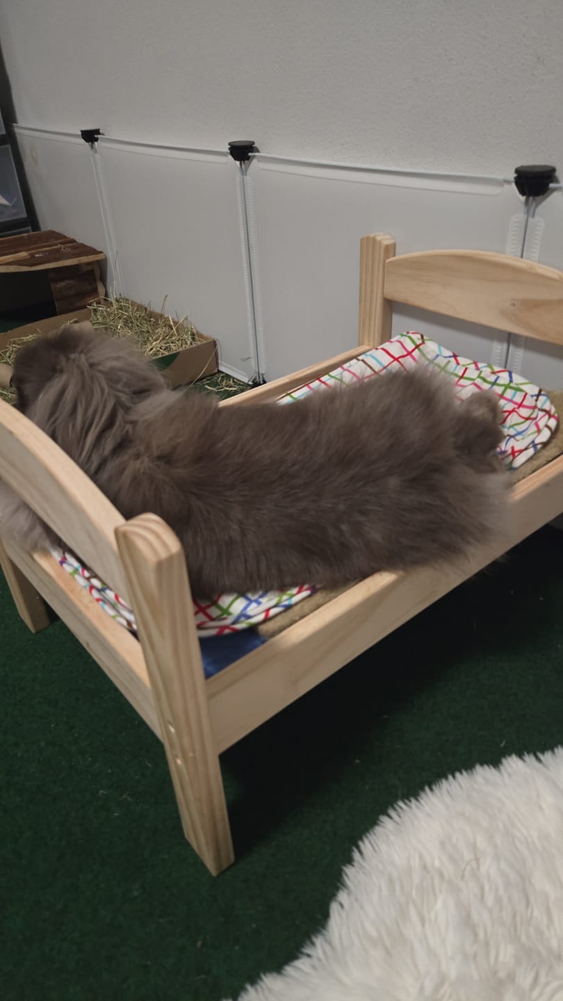 Customer photo review of Kennenlernbox: Unsere Starterbox mit Hanf- und Kokosmatten *Limited Edition*