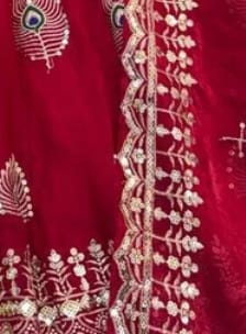 Customer photo review of Fuchsia Pink Silk Embroidered Anarkali Gown