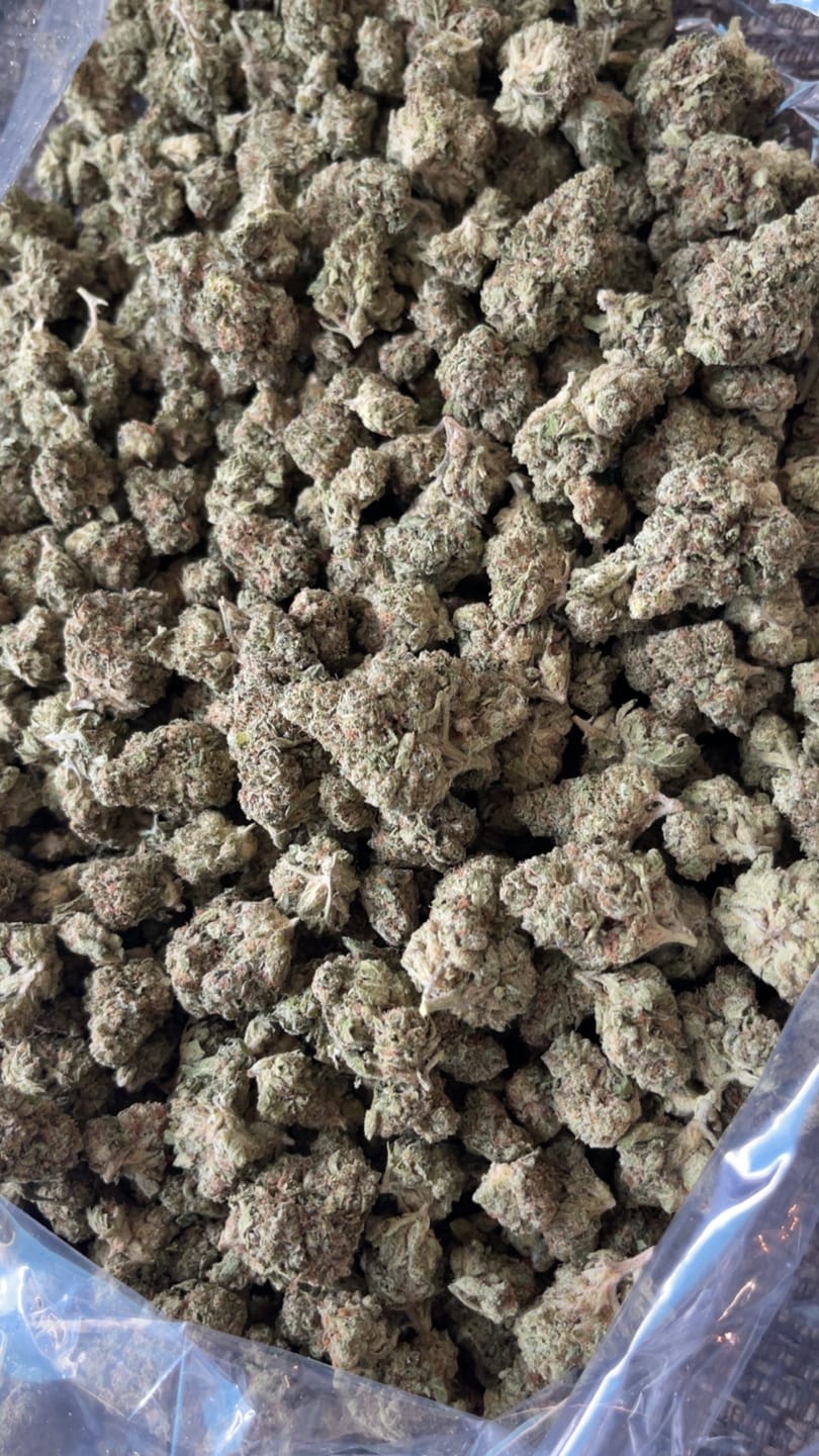 Customer photo review of Ice Cream Cake - Bulk - Indica