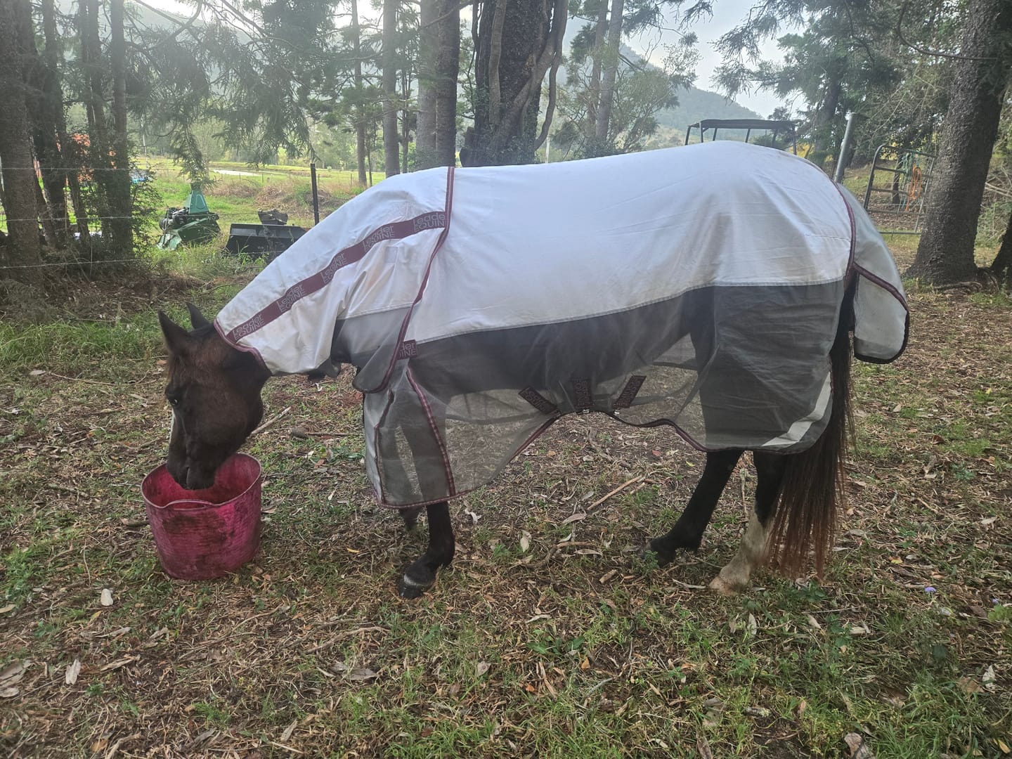 Customer photo review of LE Breeze Summer Sheet with Fieldsafe Front