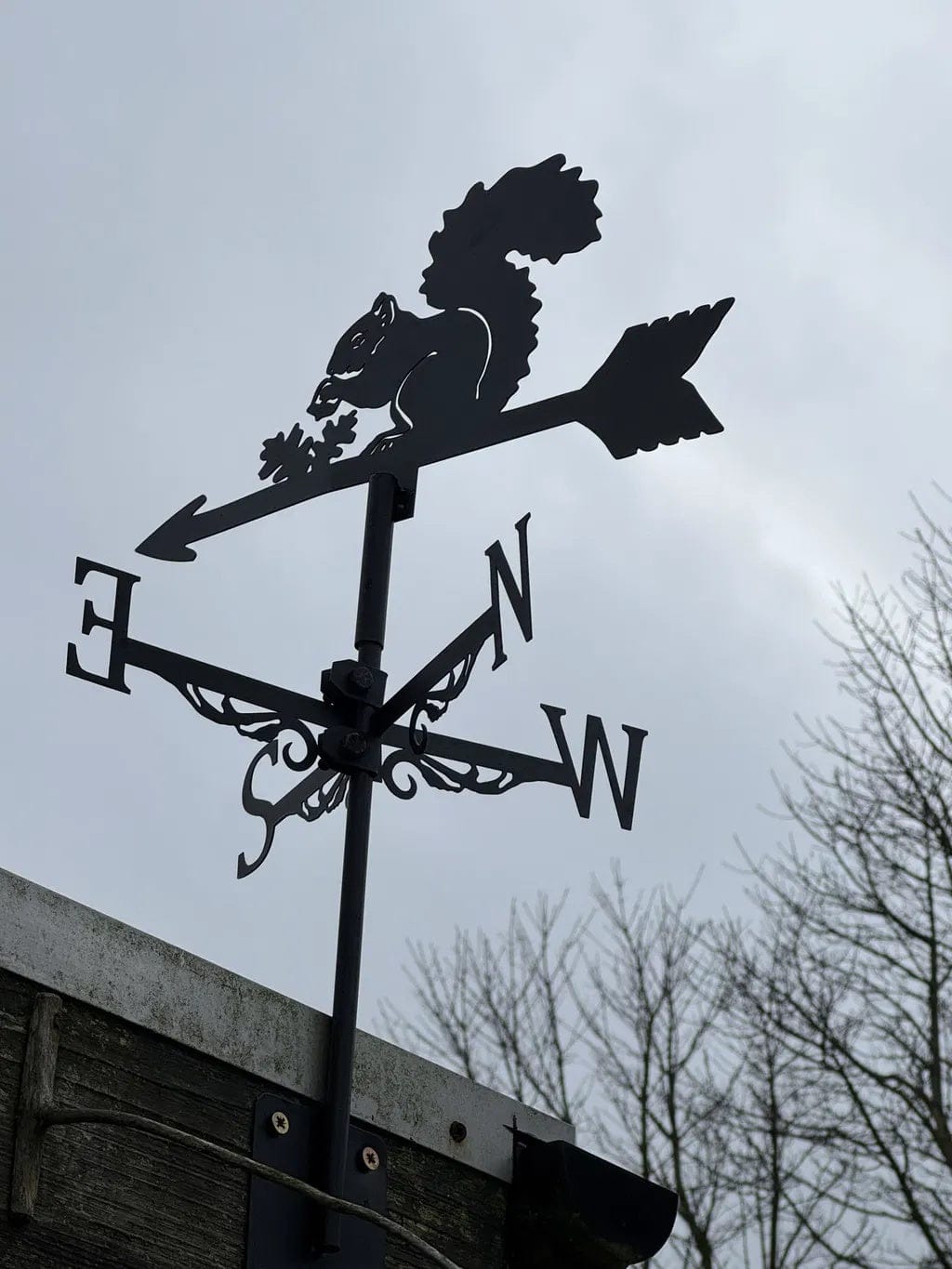 Customer photo review of Weather Vane - Squirrel