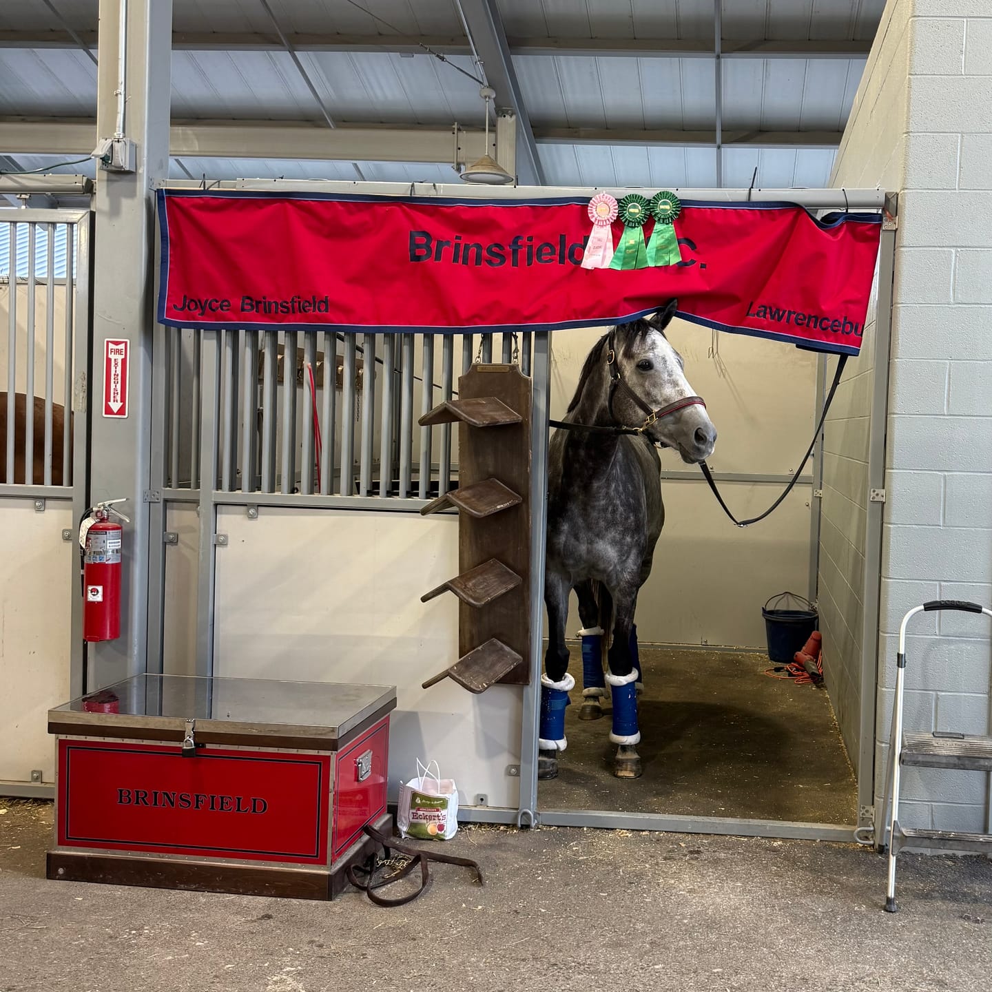 Customer photo review of Custom Show Banner - 10 ft