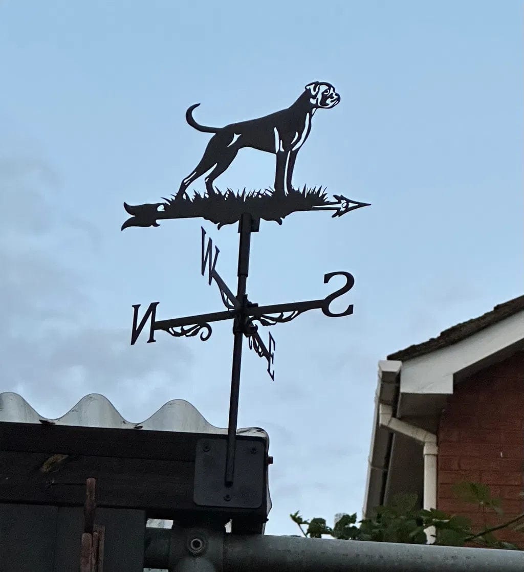 Customer photo review of Weather Vane - Boxer