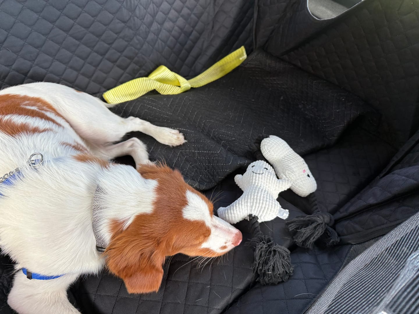 Customer photo review of CozyRider™ 3.0 XL