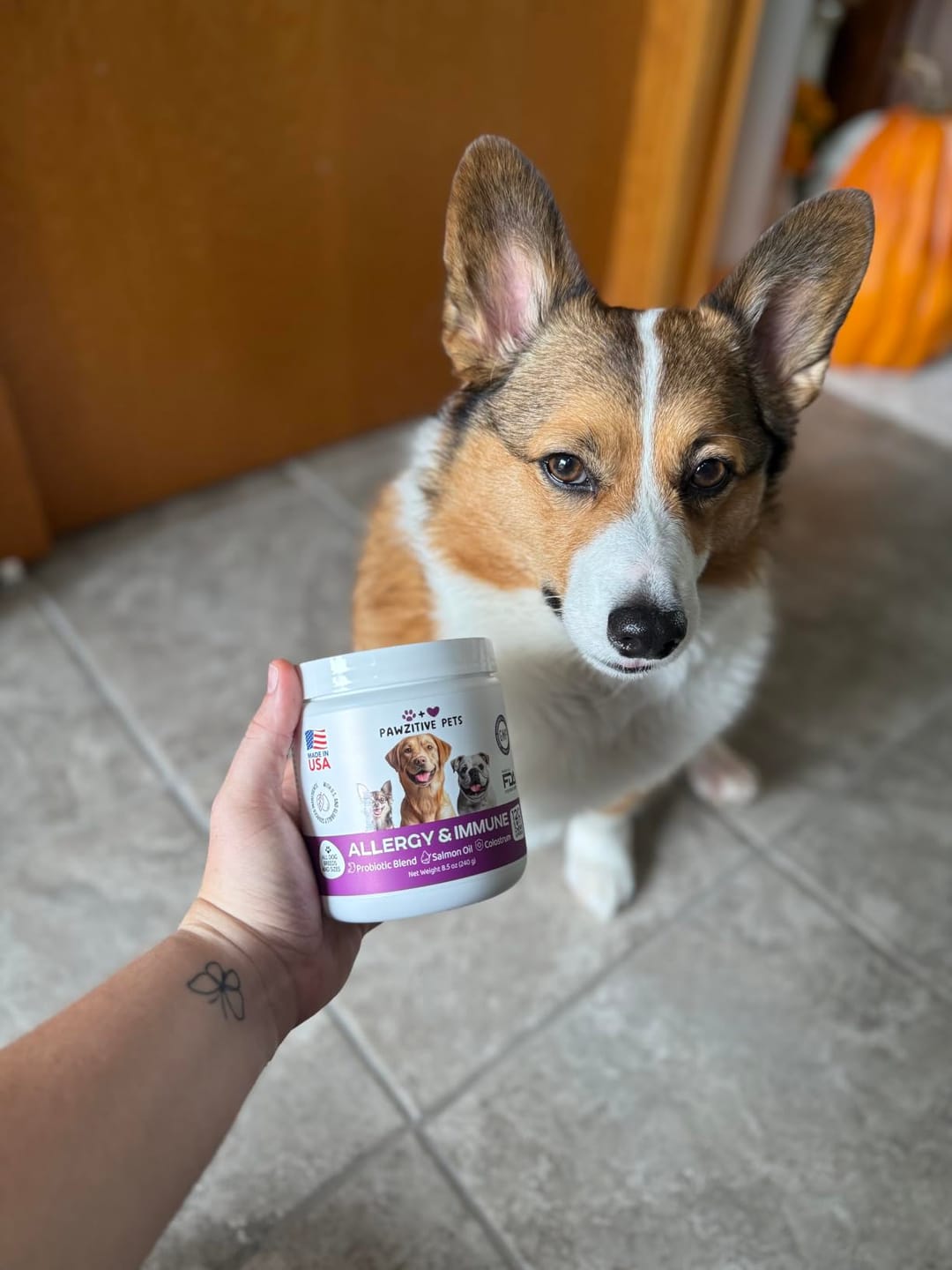 Customer photo review of Dog Allergy Chews for Itchy Skin, Paw Licking & Seasonal Allergies – Immune Support, 120 Soft Chews (Beef Flavor)