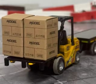 Customer photo review of ForkGo® Carretilla RC