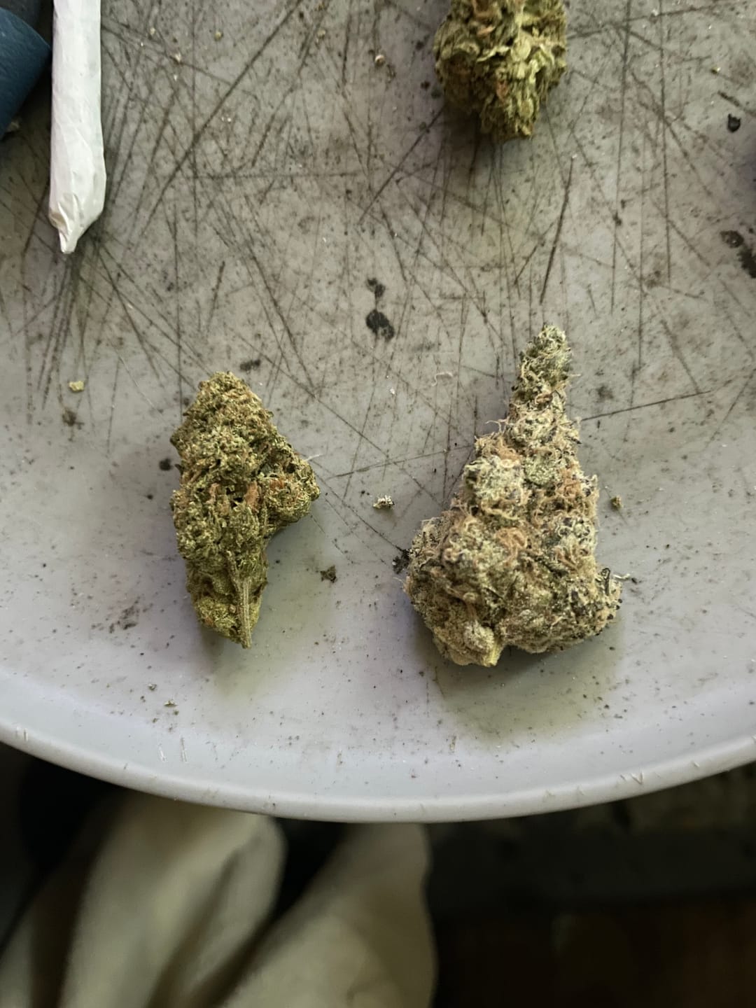 Customer photo review of Gorilla Glue - 14 Grams - Hybrid