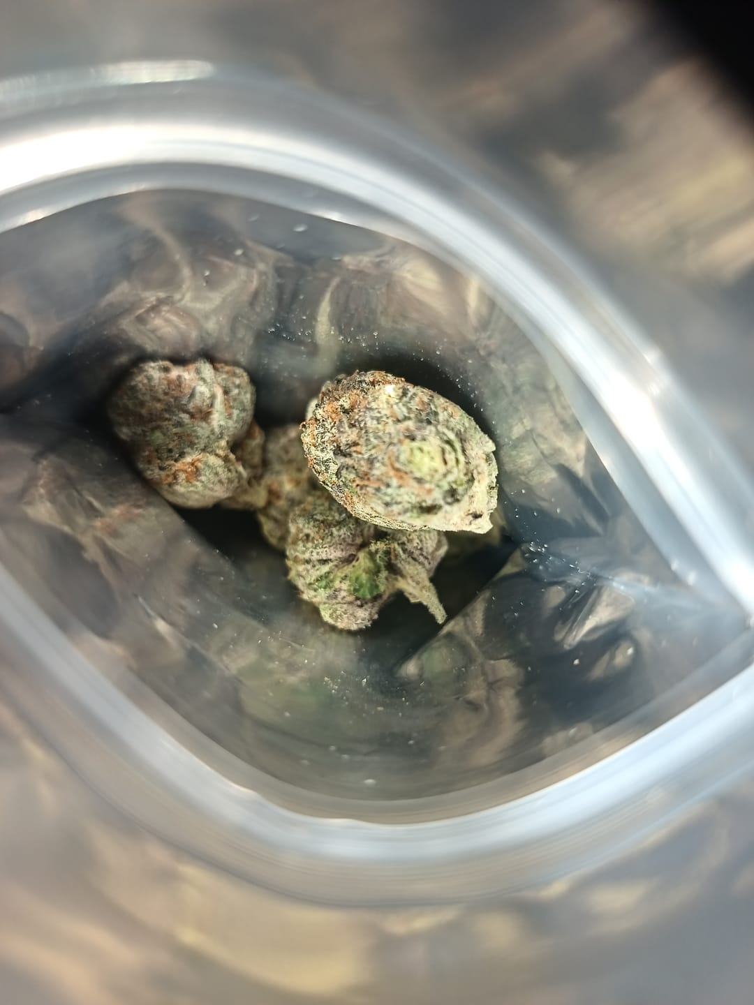 Customer photo review of Exotic Indoor Flower - Strawberry Cadillac