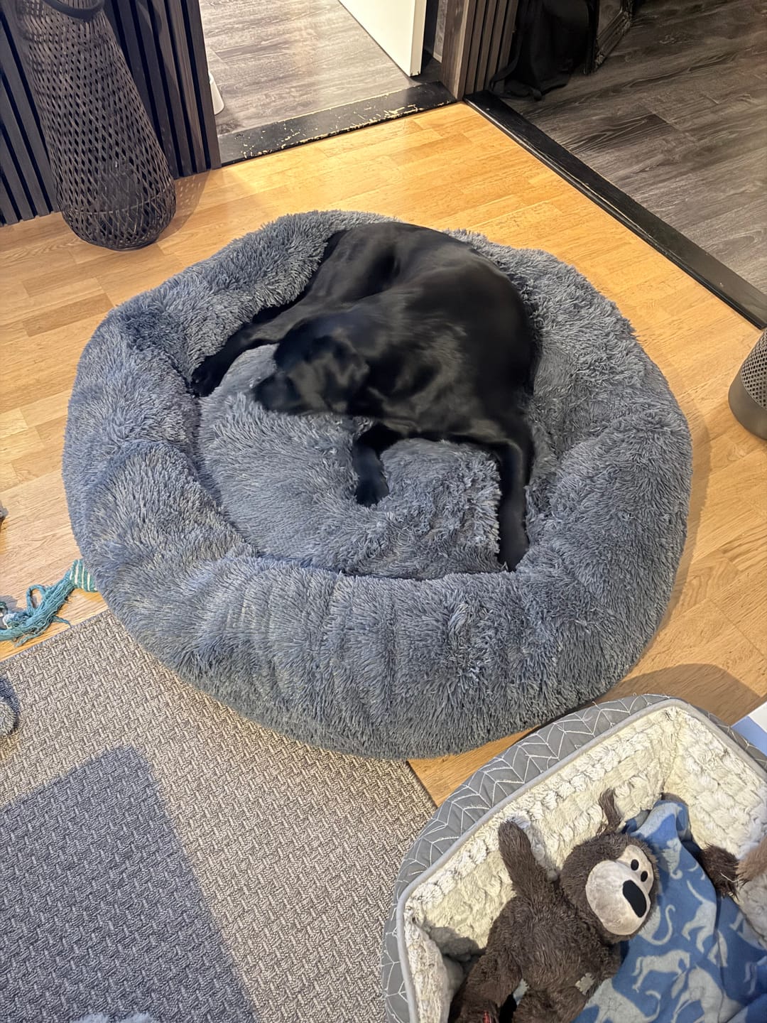 Customer photo review of CalmBed