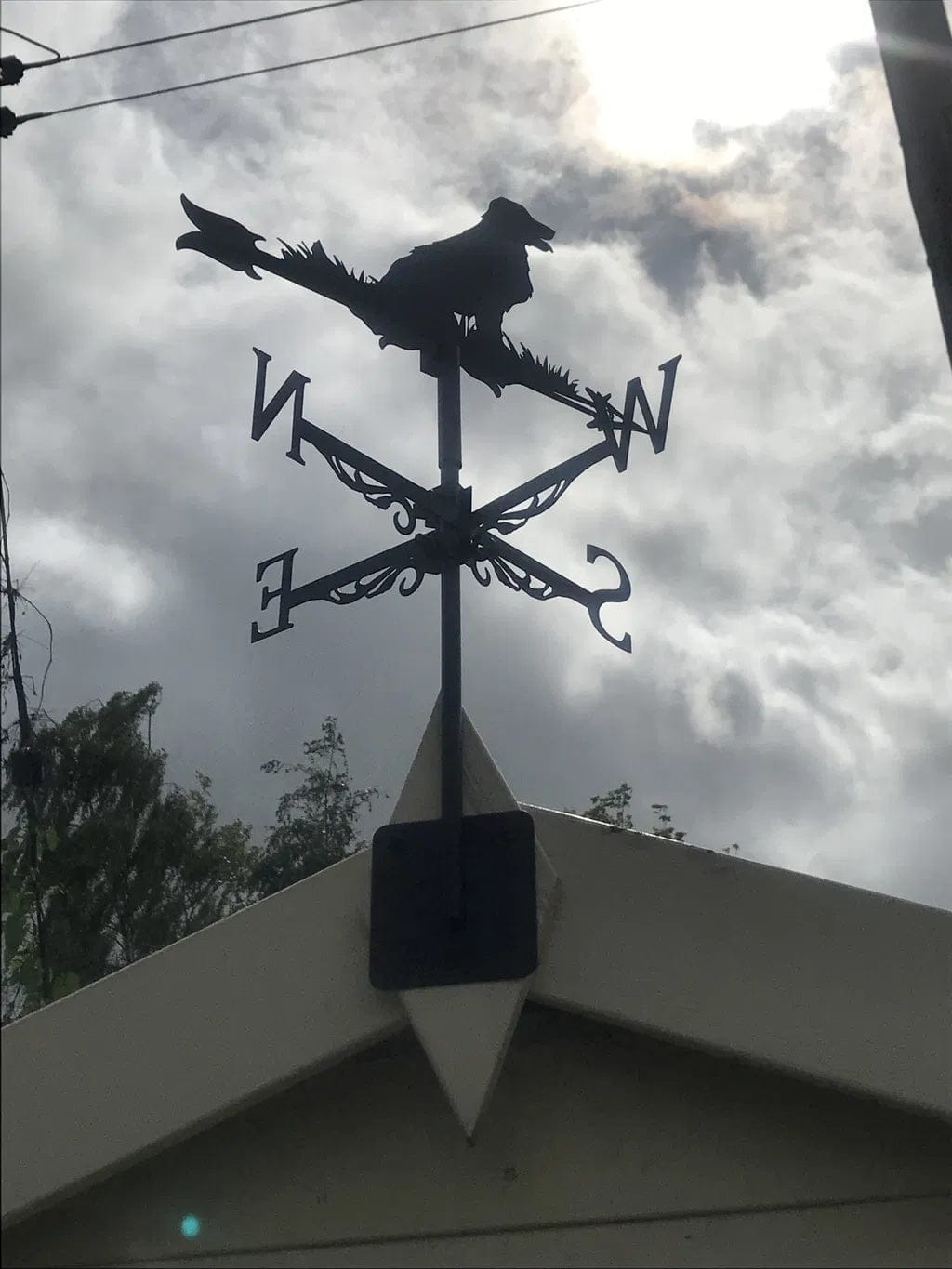Customer photo review of Weather Vane - Golden Retriever