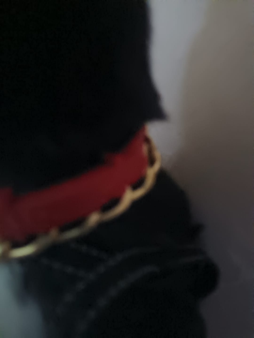 Customer photo review of CT1657 1 Pieza De Collar Anti Pulgas Para Perro/Gato