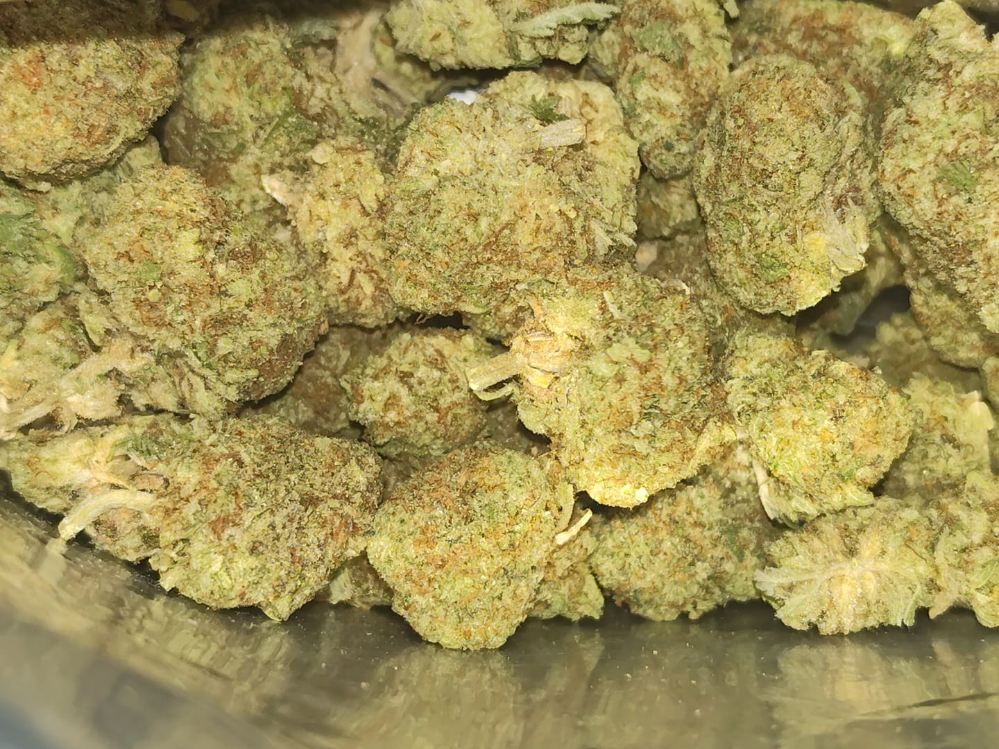Customer photo review of Acapulco Punch THCA Flower