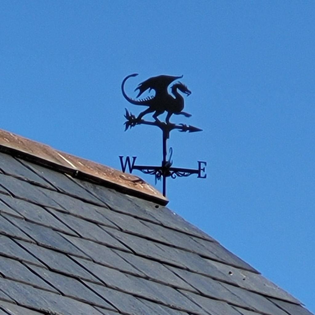 Customer photo review of Weather Vane - Flying Dragon