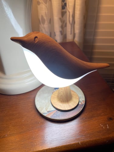 Customer's Glow Bird light, featuring a wooden bird shape with a glowing white belly, sitting on a wooden desk.