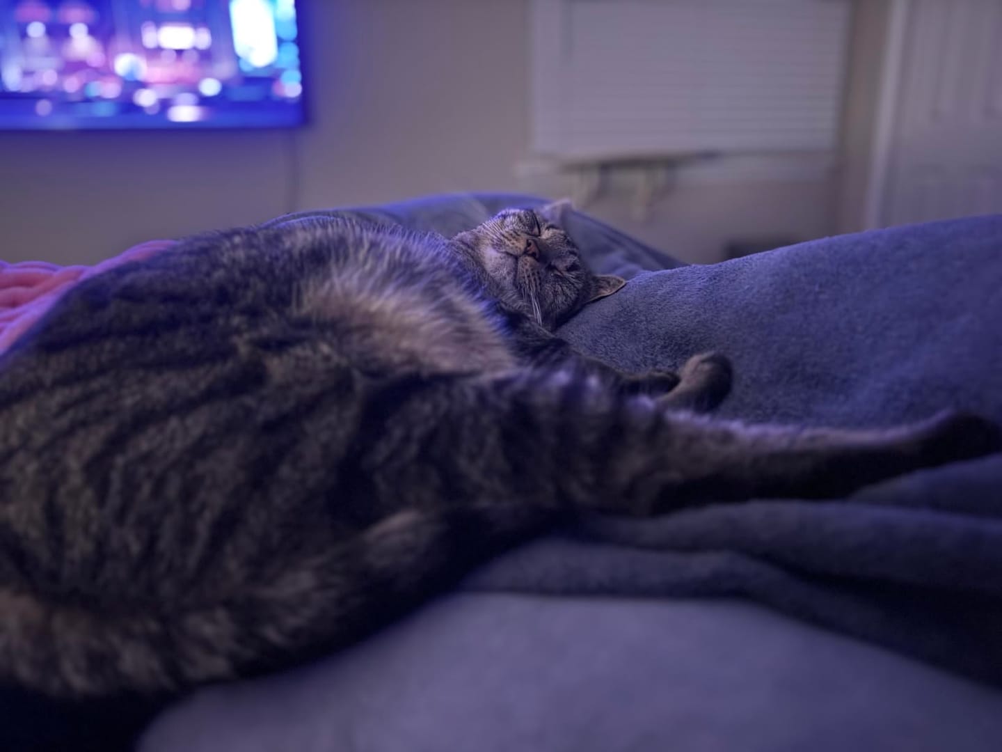 Customer photo review of Relieva™ Almohada Materna