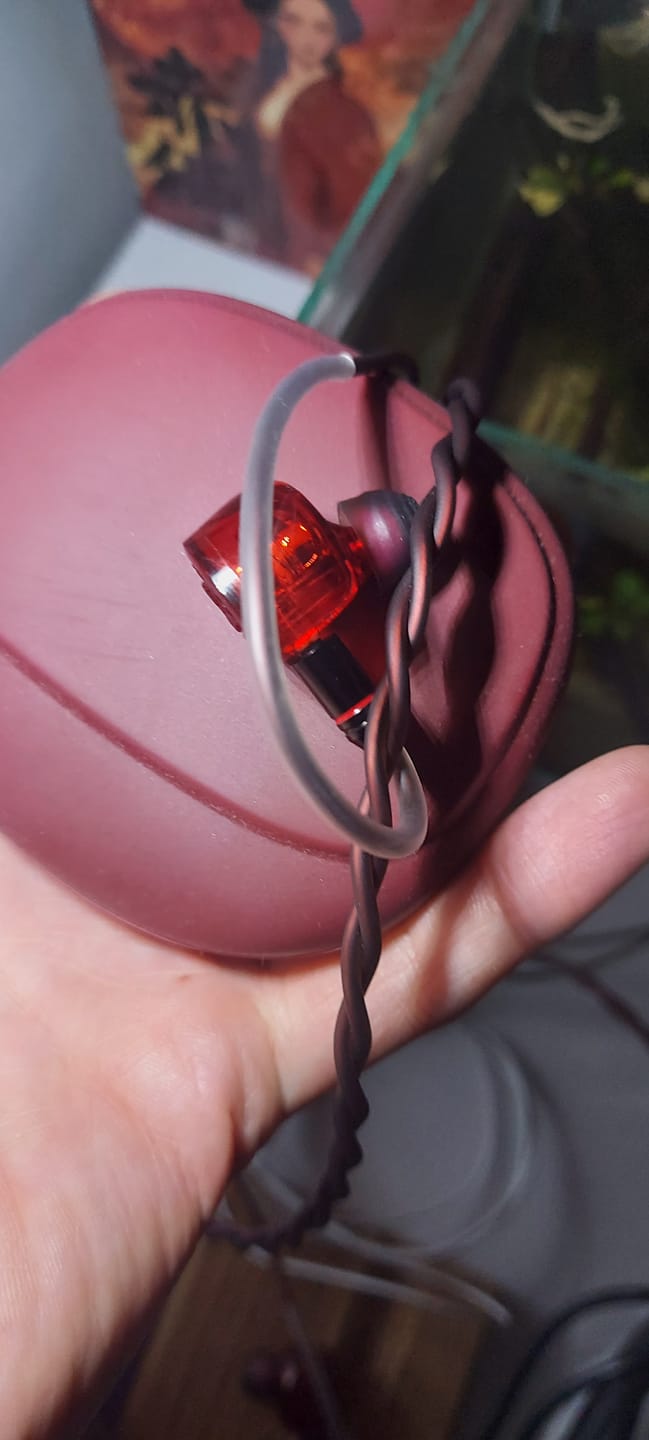 Customer photo review of TANGZU Wan'er S.G II IEM Kulaklık