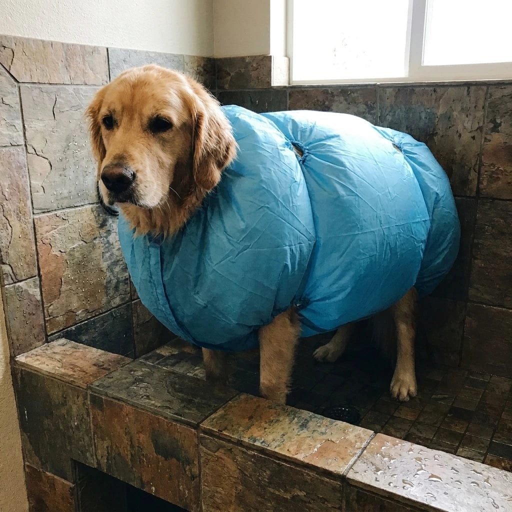 Customer photo review of Traje Secador Rápido para Perros y Gatos
