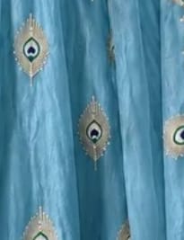 Customer photo review of Sky Blue Silk Embroidered Anarkali Gown