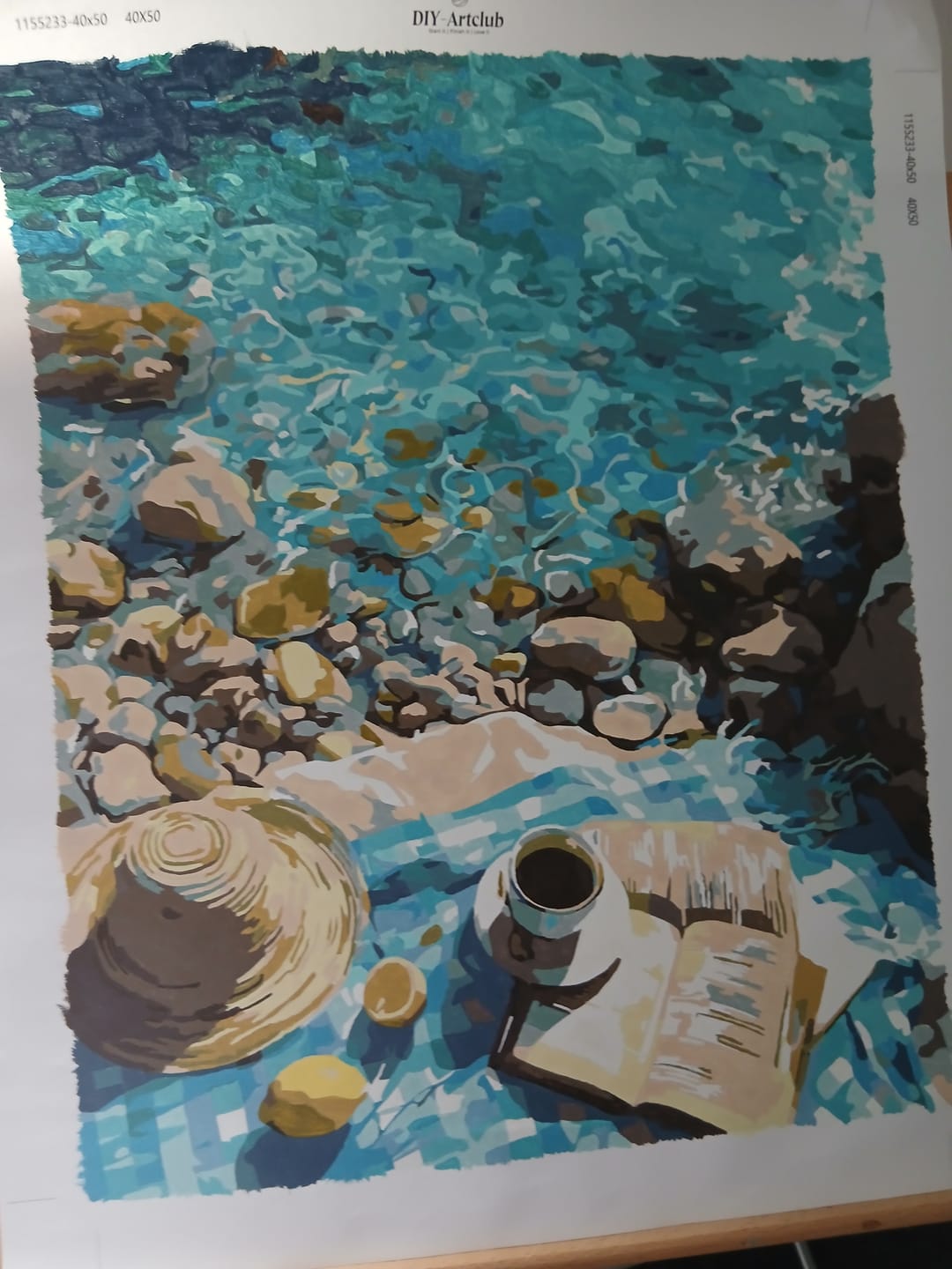 Customer photo review of The Lemon Reader | Paint by Number