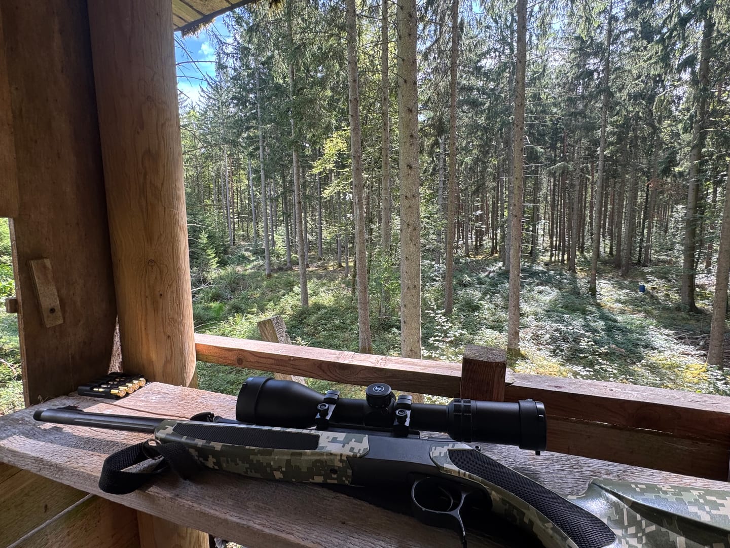 Customer photo review of Grizzly 3-12x56 Pro Fiber Hunting