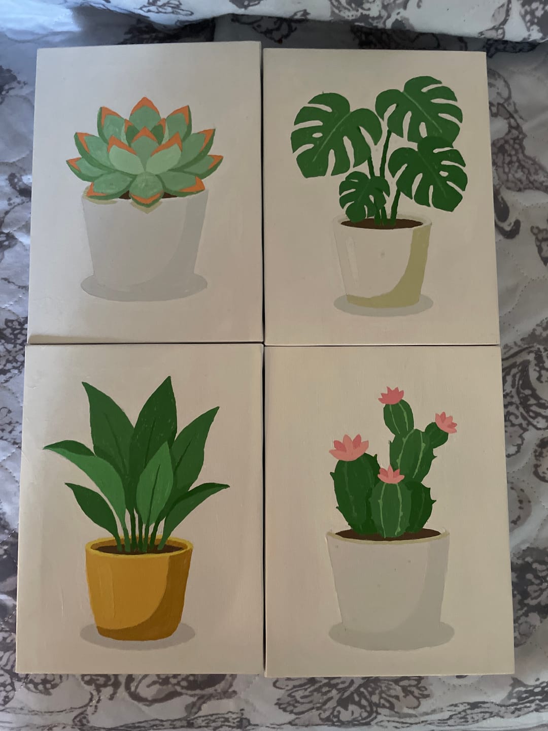 Customer photo review of Potted Plants | 6 Mini Kits