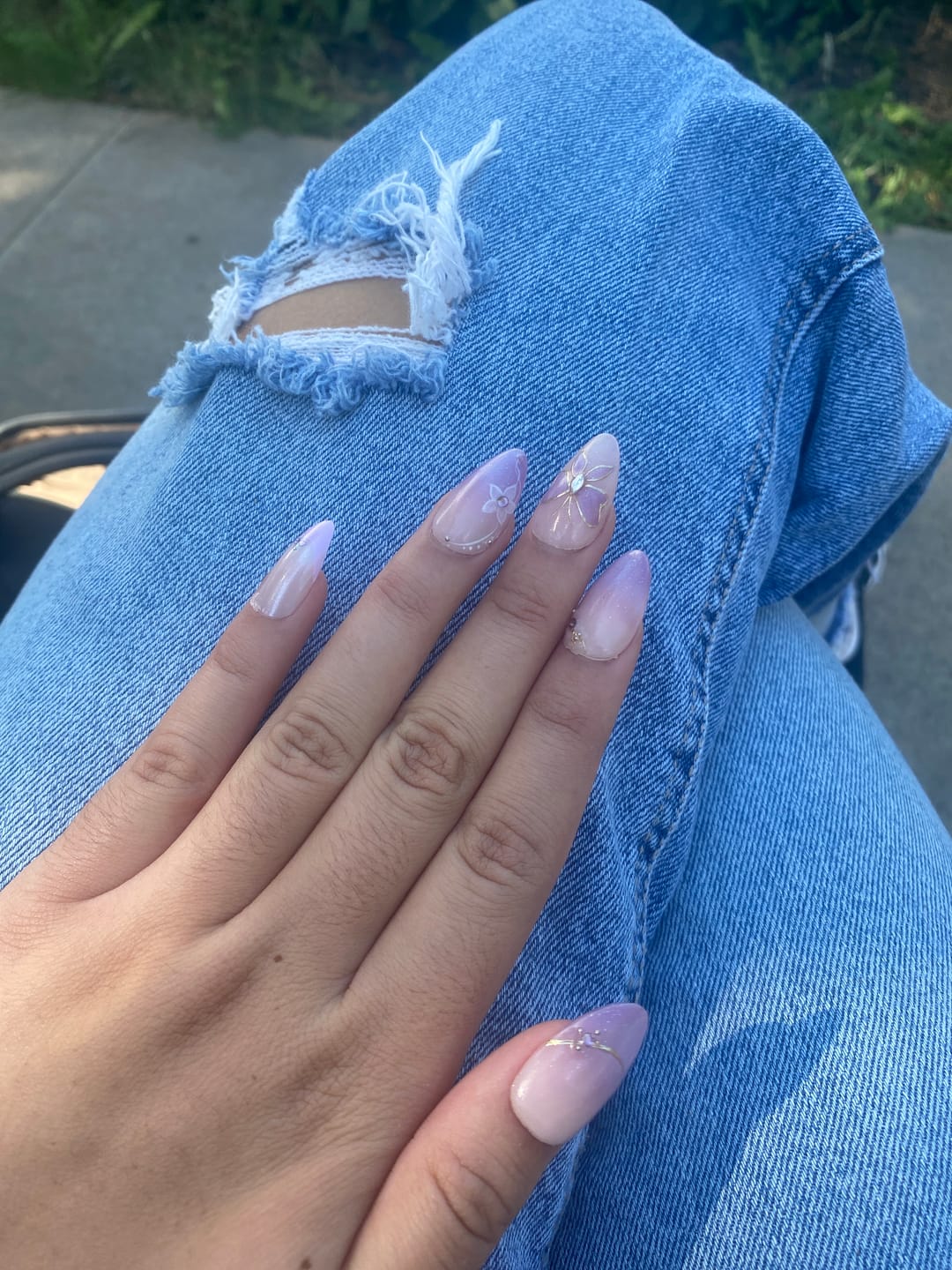 Customer photo review of Wisteria Dream