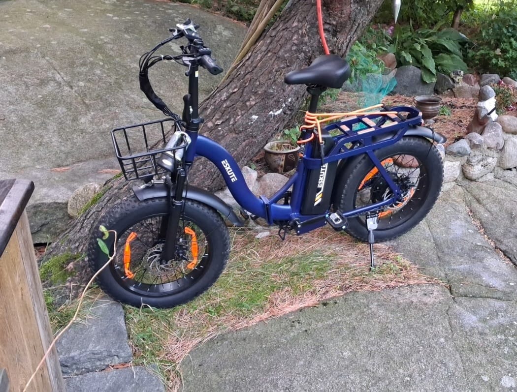 Customer photo review of Eskute D202 Folding-E-Bike