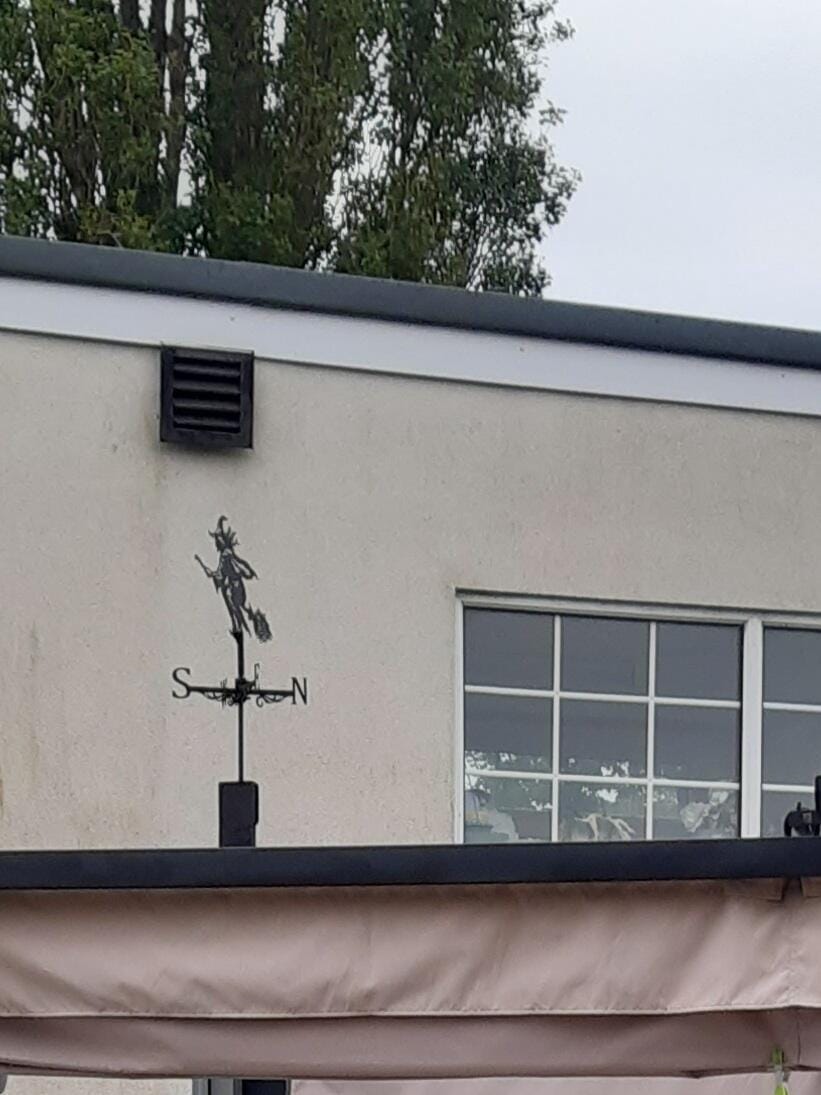 Customer photo review of Weather Vane - Flying Witch