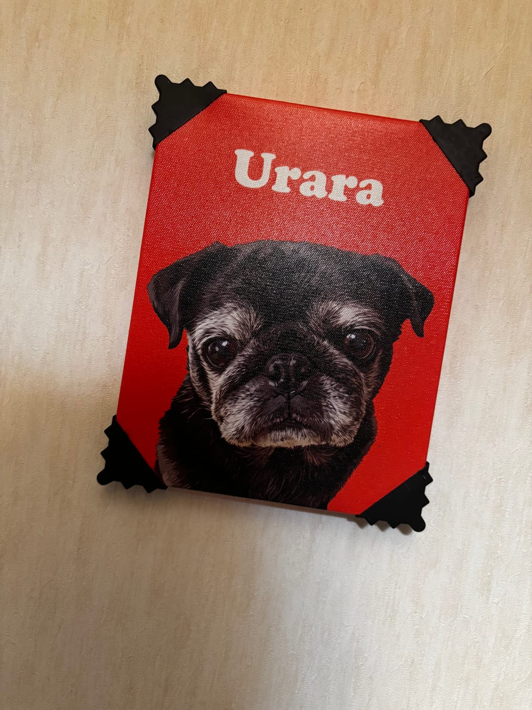 Customer photo review of Petcanva® 品質補償サービス