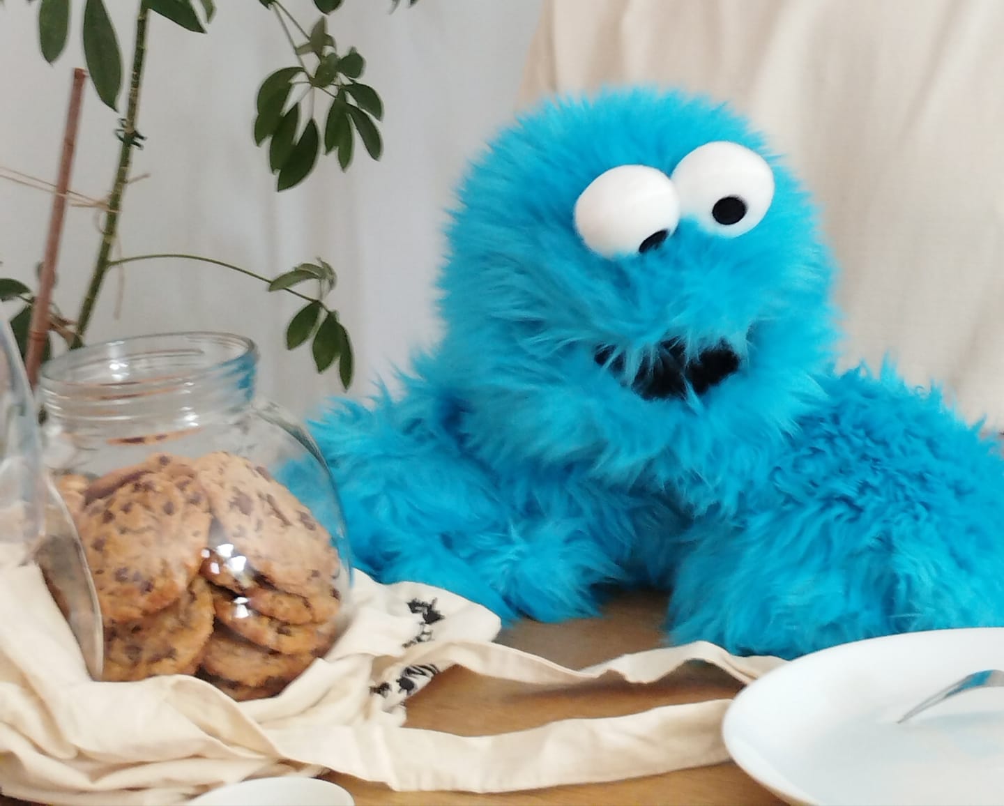 Customer photo review of Cookie Monster Marionnette Sesame Street