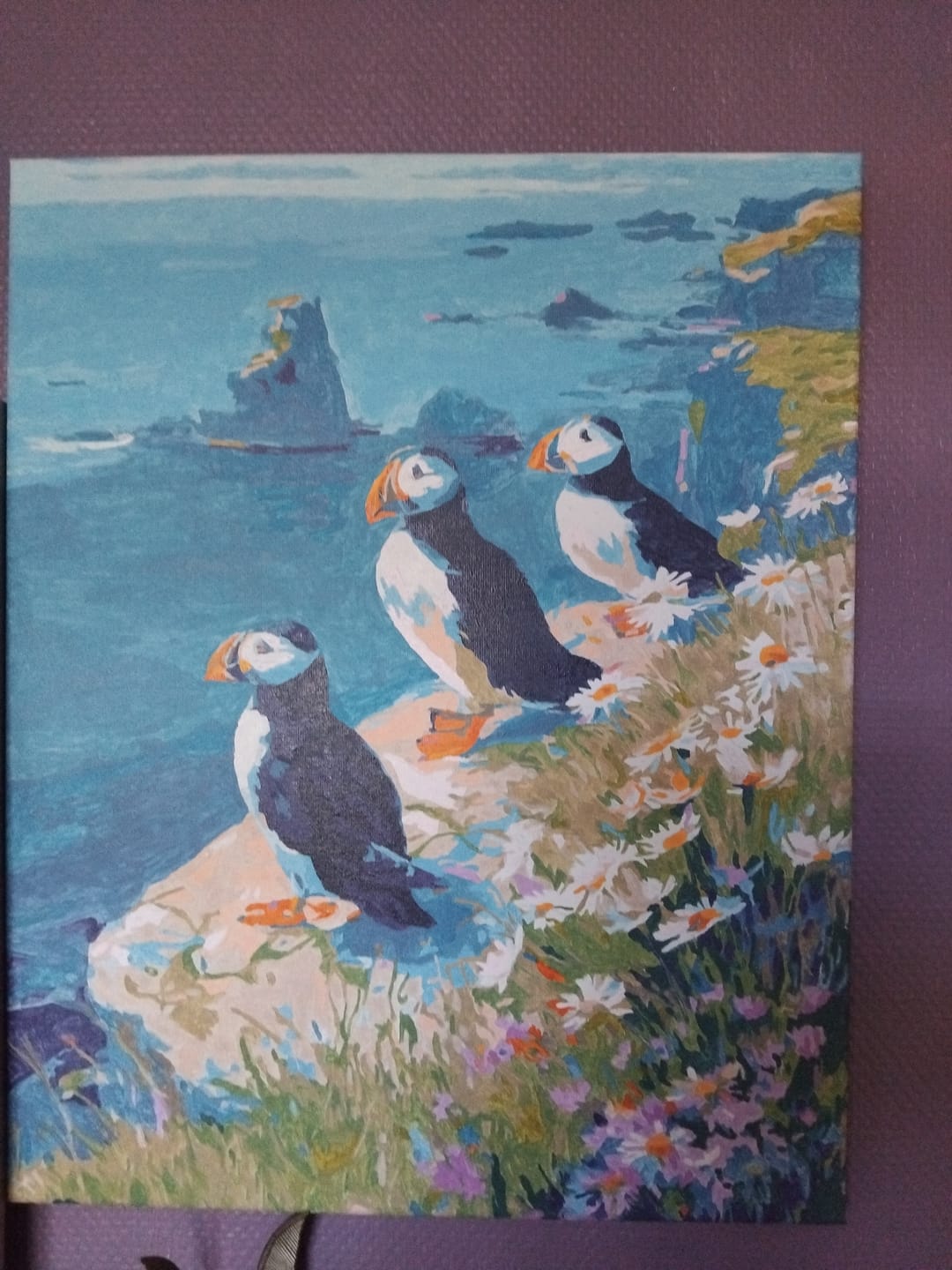 Customer photo review of Macareux sur les falaises océaniques