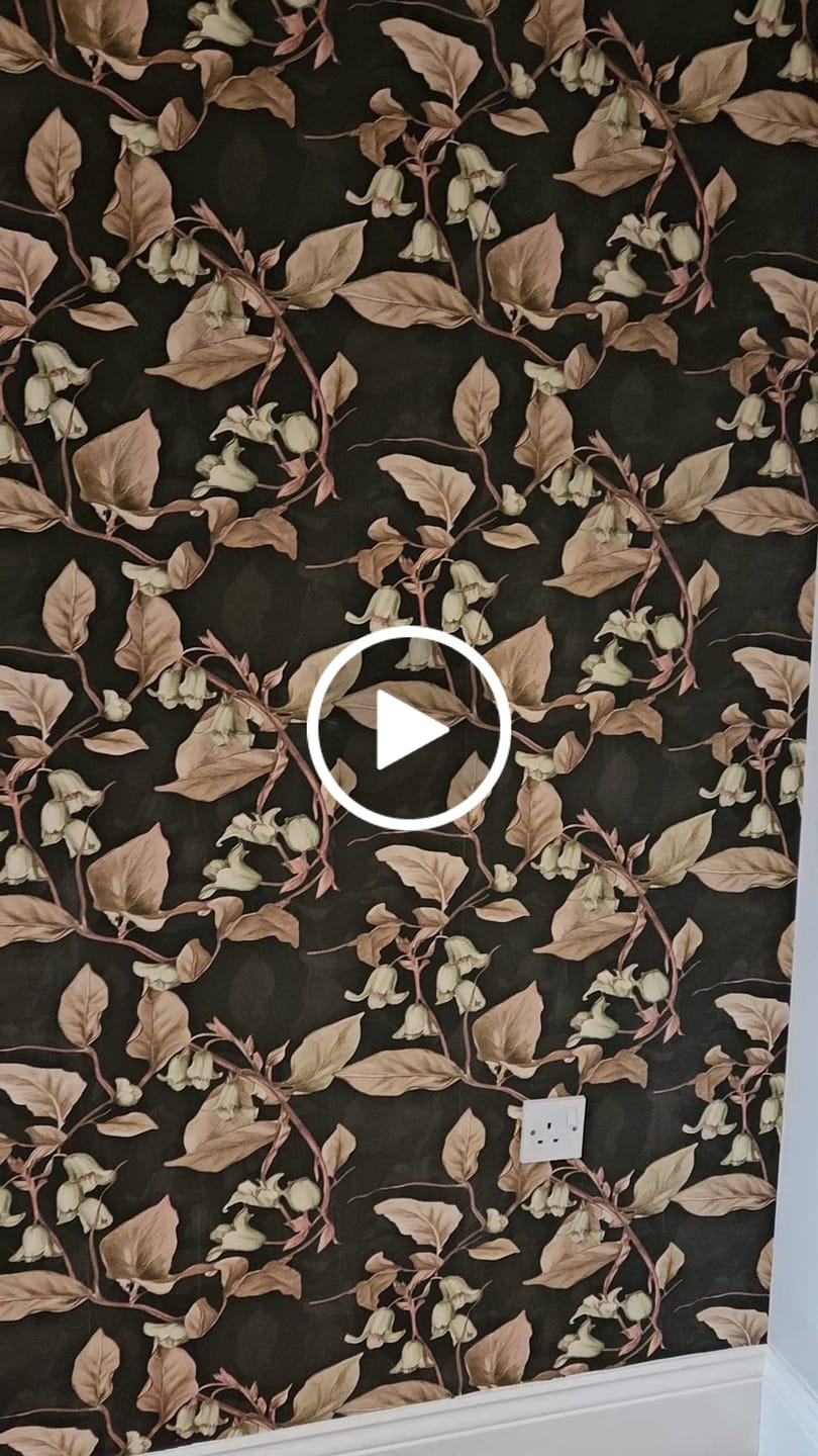 Customer video review of Eleanor