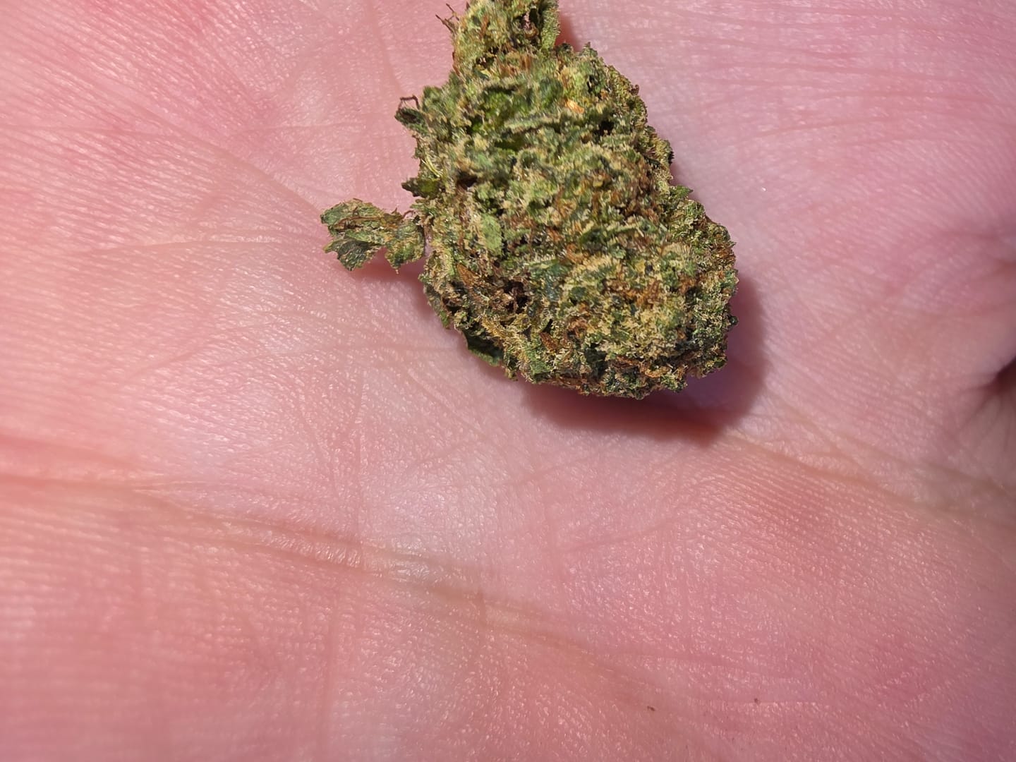 Customer photo review of Raspberry Kush - 28 Grams - Indica