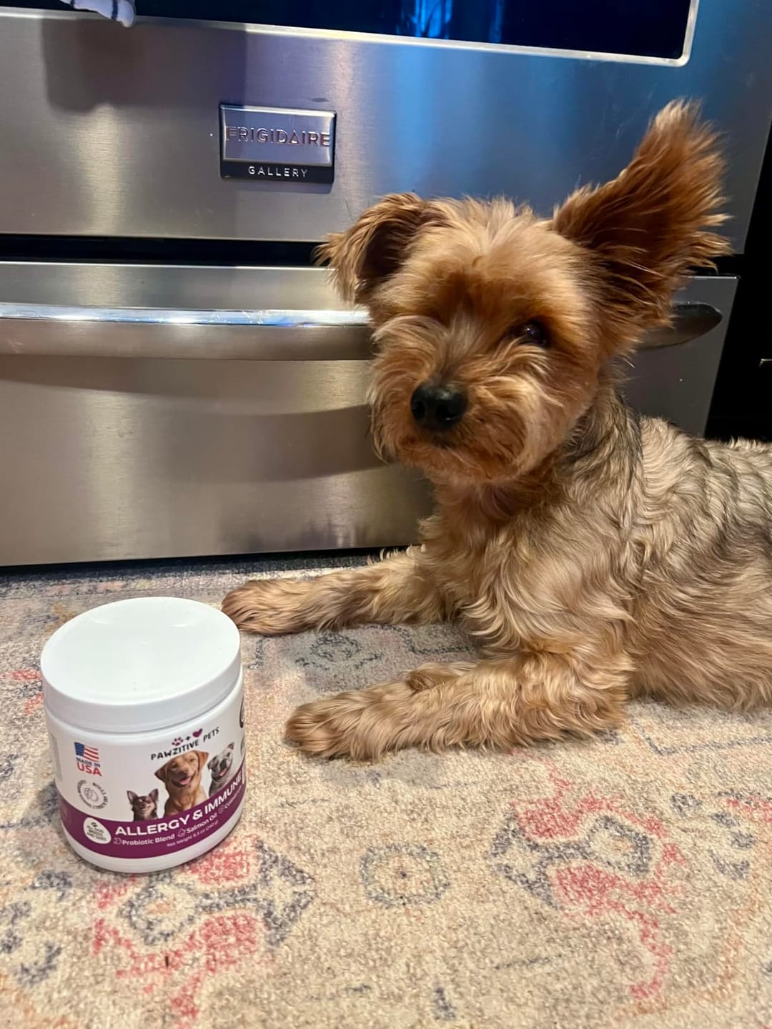 Customer photo review of Dog Allergy Chews for Itchy Skin, Paw Licking & Seasonal Allergies – Immune Support, 120 Soft Chews (Beef Flavor)