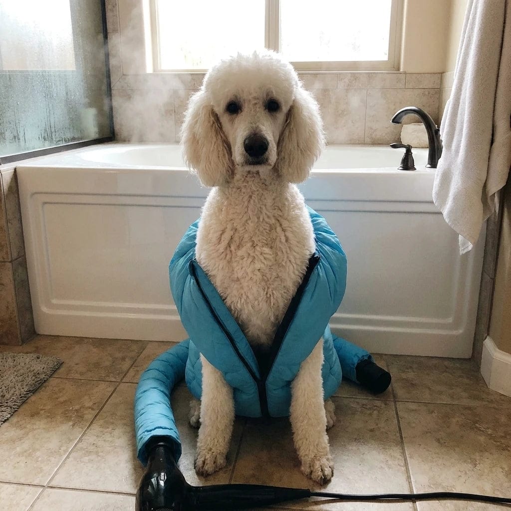 Customer photo review of Traje Secador Rápido para Perros y Gatos