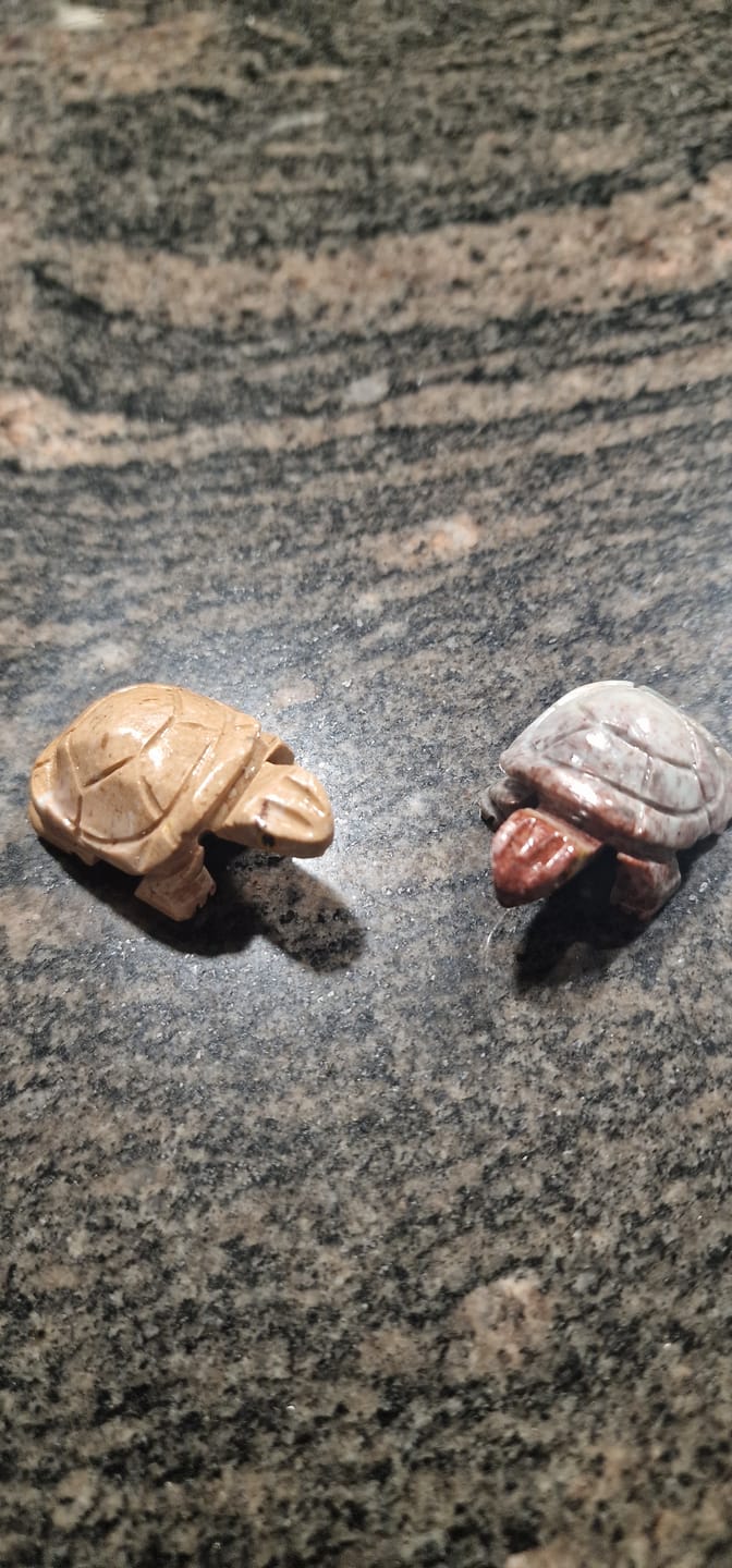 Customer photo review of Tortuga | Serpentina | Guardián Protector - Perseverancia