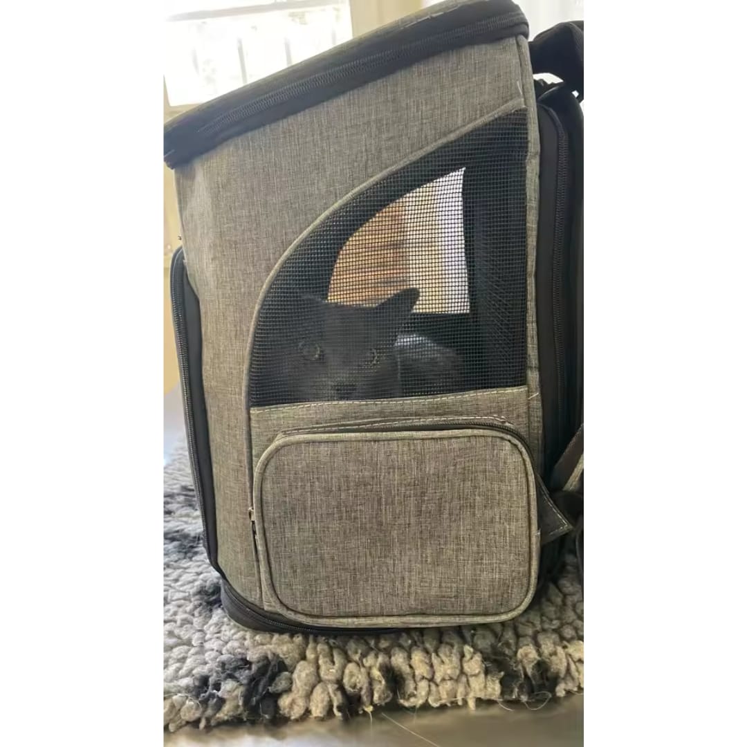 Customer photo review of MOCHILA EXPANDIBLE PARA GATOS