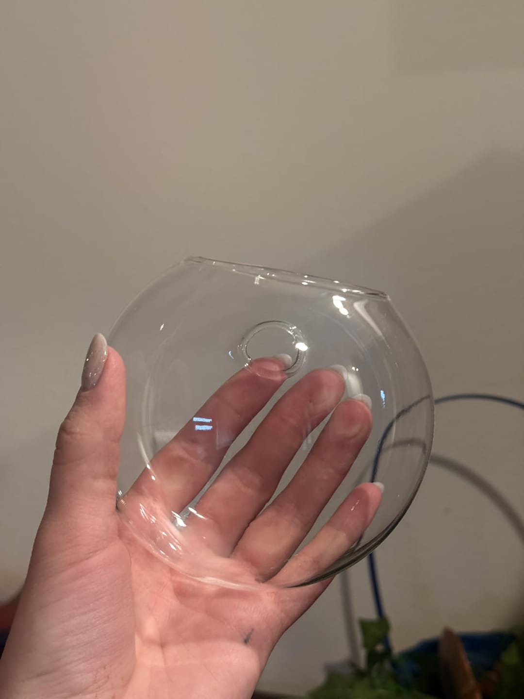 Customer photo review of Bulles de Boutures®