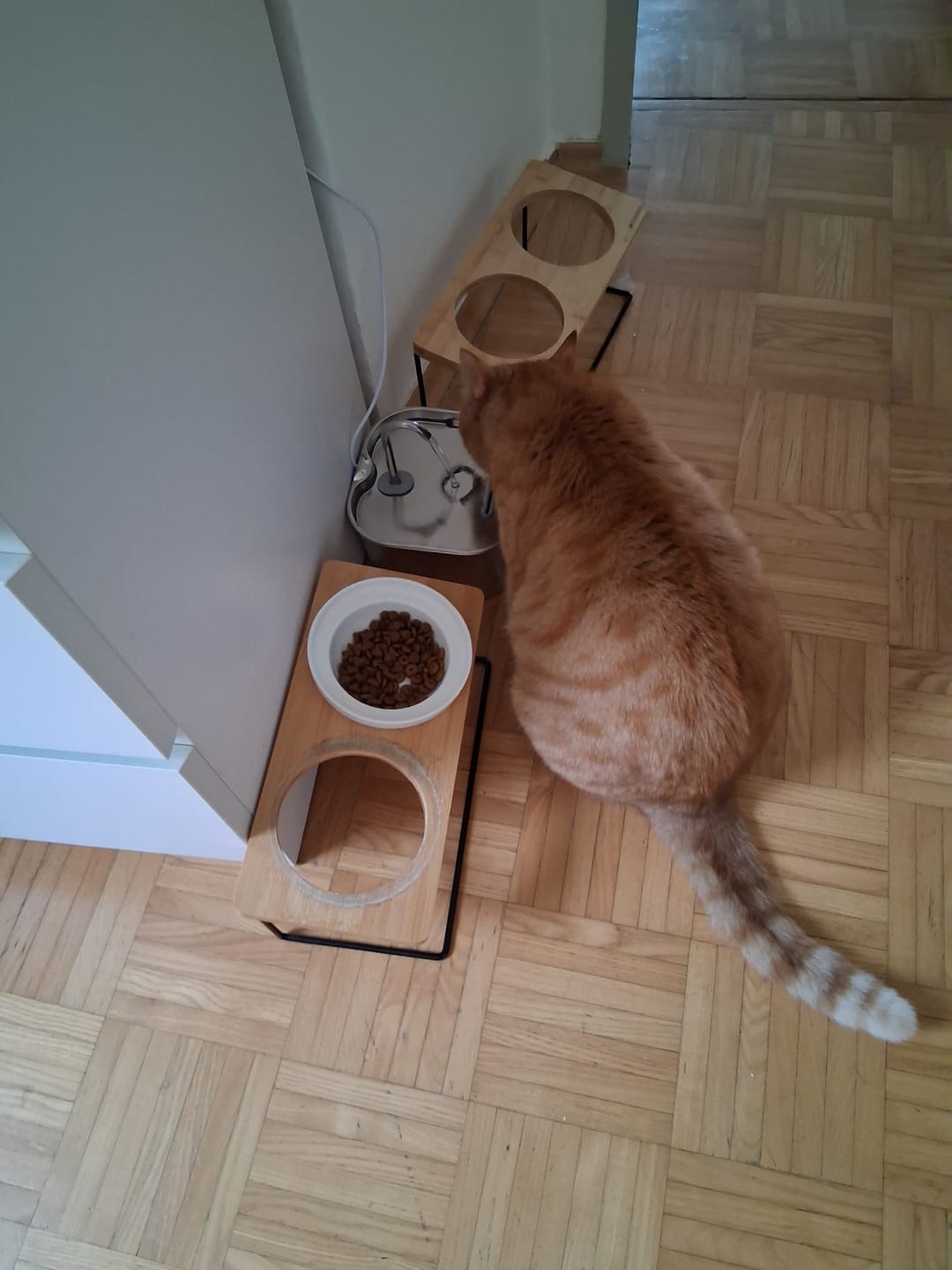 Customer photo review of TrinkTiger-Gutschein