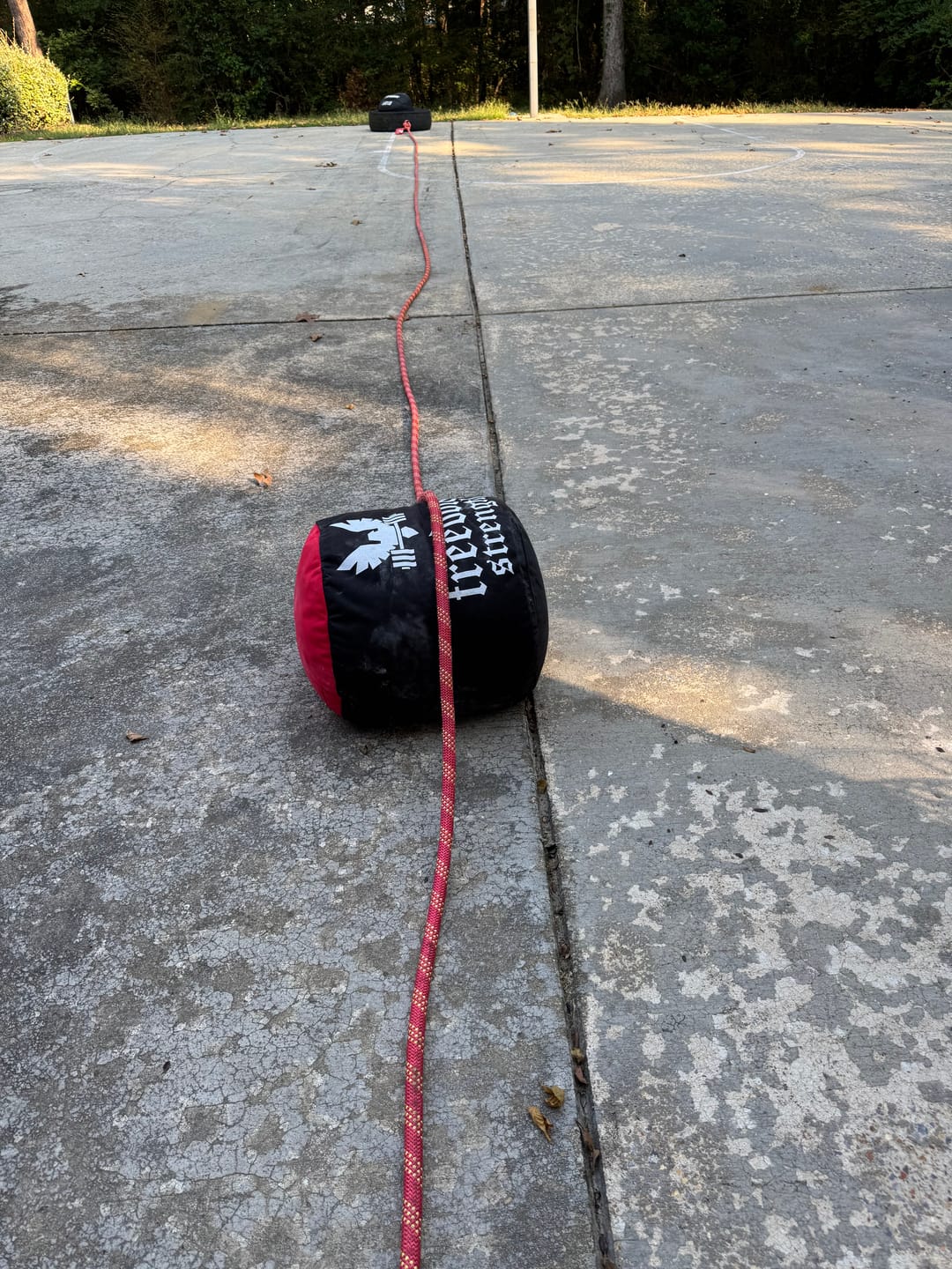 Customer photo review of Strongman Sandbag