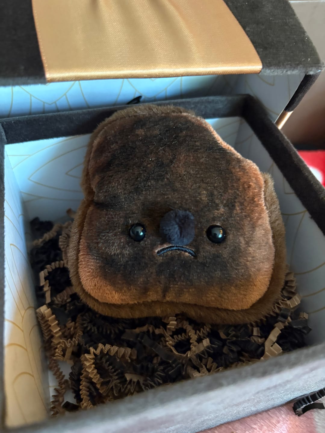 Customer photo review of Forgotten Burnt Toast