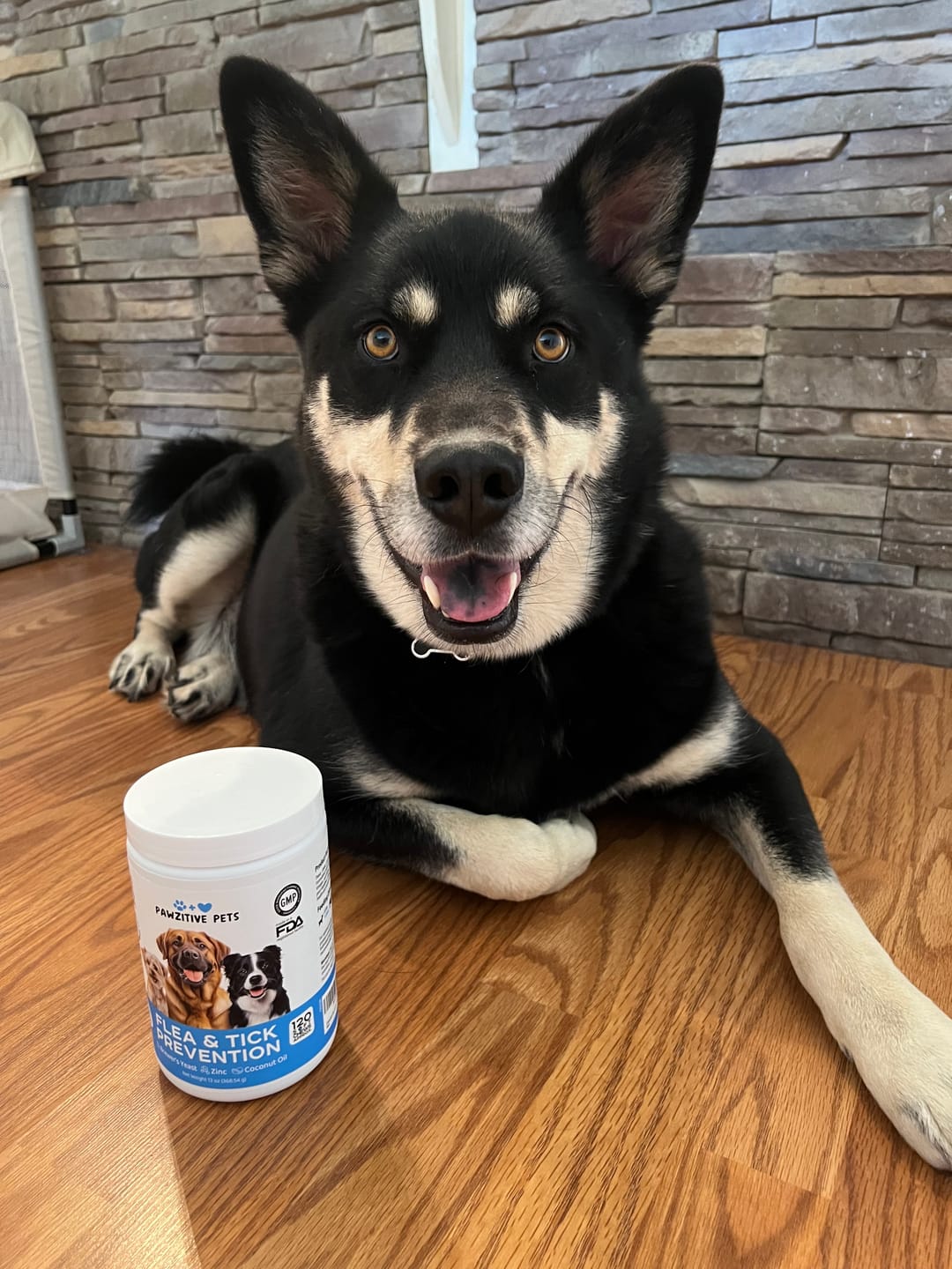Customer photo review of Dog Flea and Tick Prevention for Outdoor & Seasonal Protection – Skin & Coat Support, 120 Soft Chews (Beef Flavor)