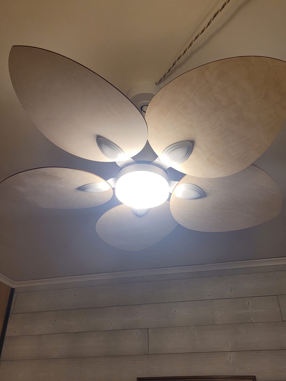 Customer photo review of Dahlia | Ventilateur de plafond